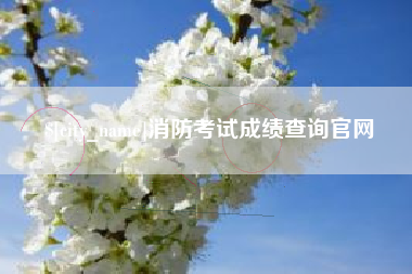 常州消防考试成绩查询官网