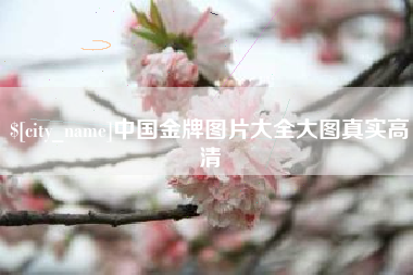 常州中国金牌图片大全大图真实高清