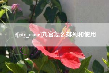 常州九宫怎么排列和使用