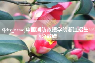 常州中国消防救援学院浙江招生2020分数线