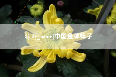 常州中国金牌样子