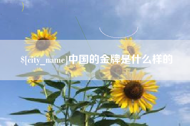 常州中国的金牌是什么样的