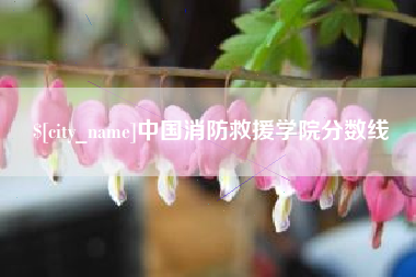 常州中国消防救援学院分数线