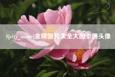 常州金牌图片大全大图卡通头像