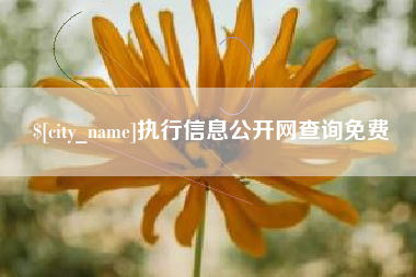 常州执行信息公开网查询免费