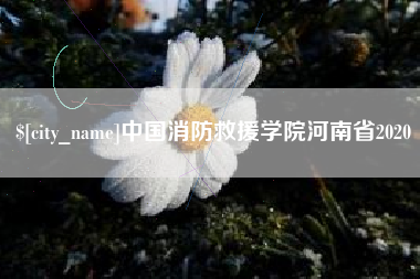 常州中国消防救援学院河南省2020